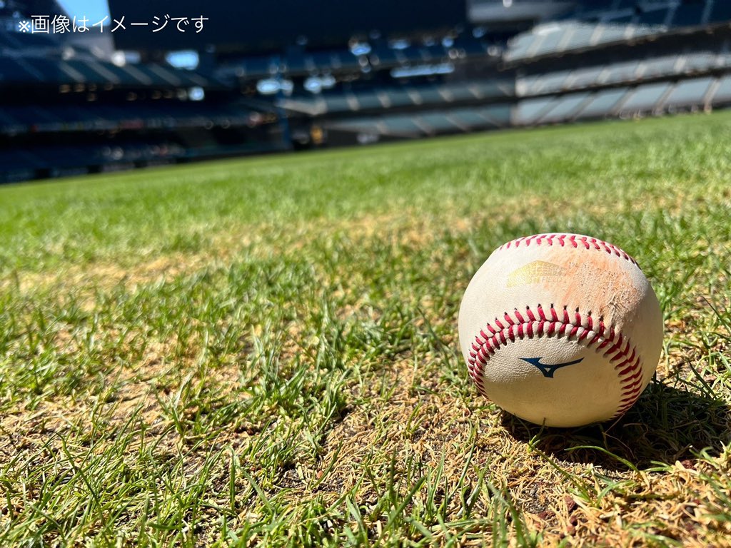 📢オフィシャルストア限定‼ 公式試合で使用したNPB統一試合球を販売