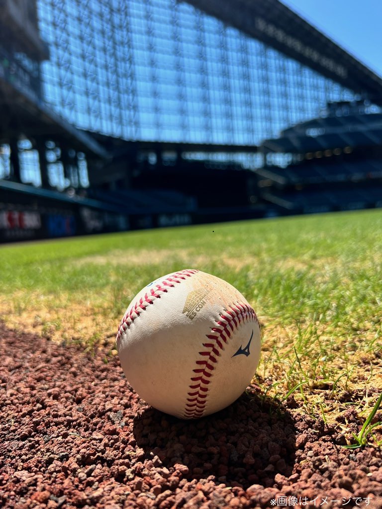 📢オフィシャルストア限定‼ 公式試合で使用したNPB統一試合球を販売