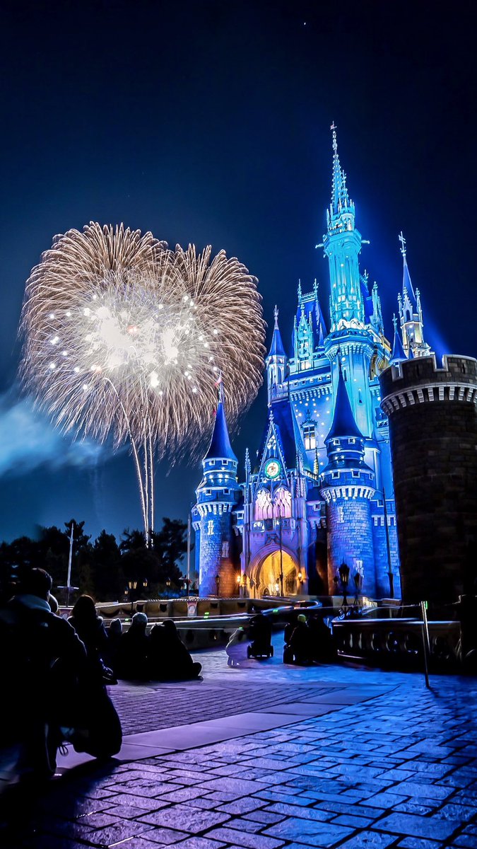 待ち受け画面のサイズに切り取った、 東京ディズニーリゾートで見る