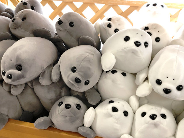 はずれクジなしの当館2階「ぬいぐるみクジ」に、きょうからクラゲが