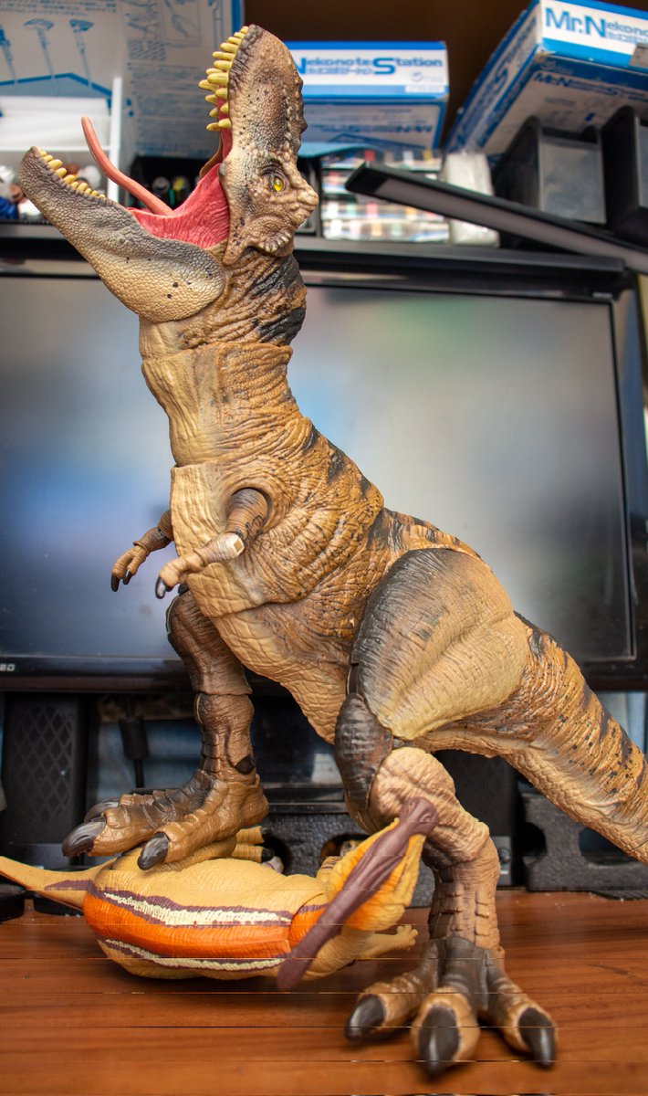 ﾏﾃﾙ ﾊﾓﾝﾄﾞｺﾚｸｼｮﾝ ﾃｨﾗﾉｻｳﾙｽのレビューです。33年生きてきて、今までで一