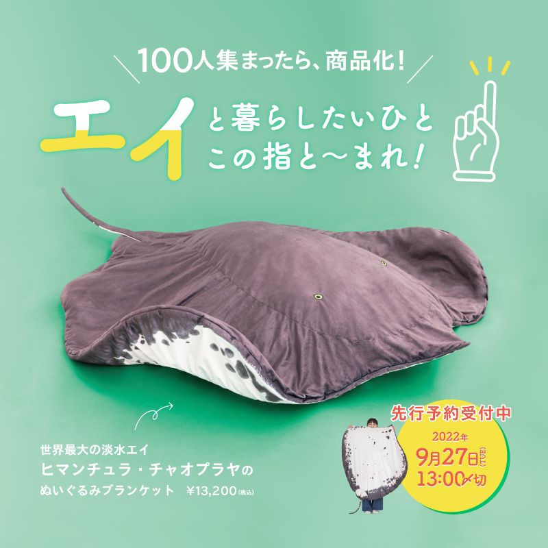 エイと暮らしたい人集合～！/ ✨100人集まったら商品化✨ 世界最大の