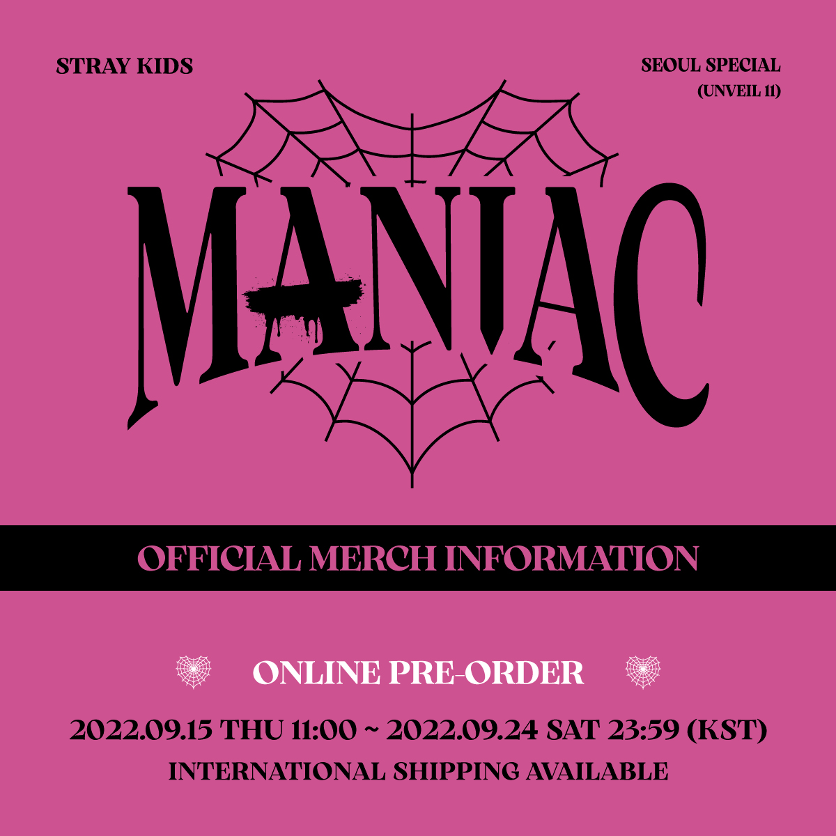 Stray Kids 2nd World Tour “MANIAC” Seoul Special (UNVEIL 11