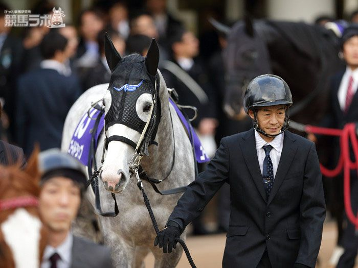 芦毛の怪物、3つ目のビッグタイトル】 2012年12月23日、有馬記念。勝っ