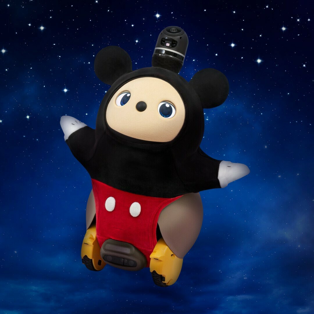 家族型ロボット