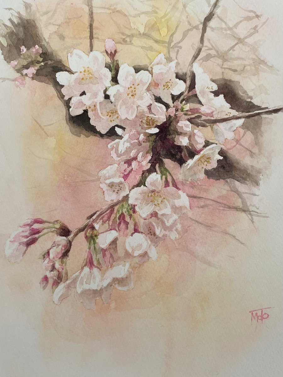 桜 』透明水彩、ランプライト紙先週に行った上野公園の桜です。地元