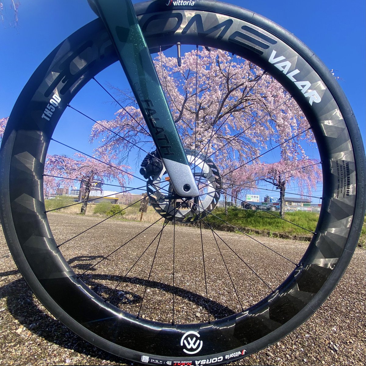 新発売】 TH50ディスク カーボンホイール 1ヶ月待ち次回出荷分販売中