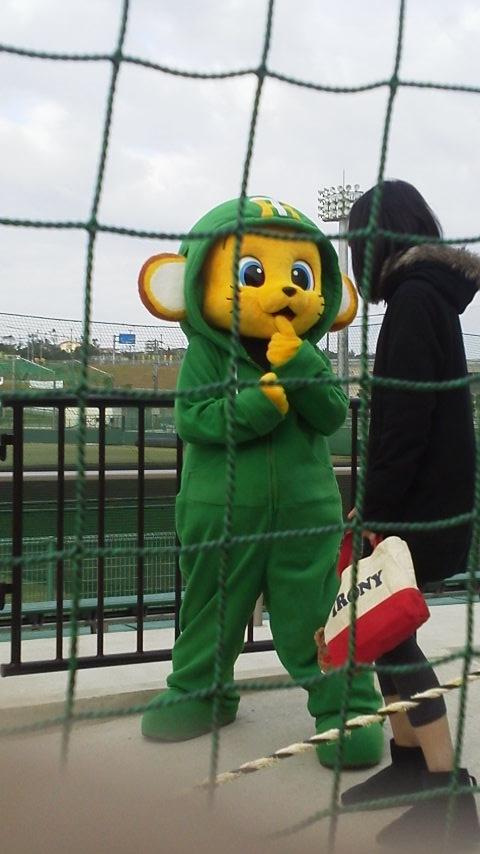 おはようございます。きょうのキー太はグリーンのパーカー(^_^) 選手は