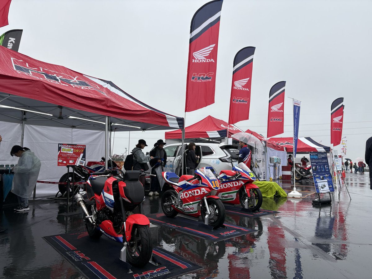 ぽんちゃん (@EQv57P3LtbAZOX5) / Posts / X