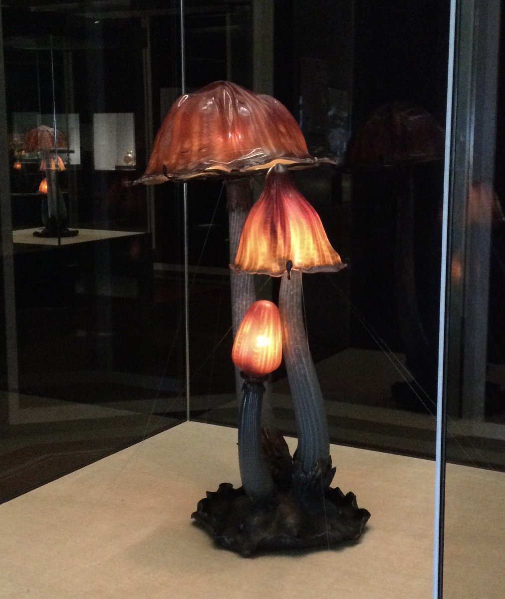 本日は #長野県きのこの日 🍄🍄🍄 北美の推しはやはり‥‥！ ＃北澤