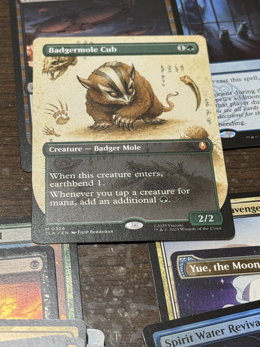 お、絵違いアナグマモグラの仔