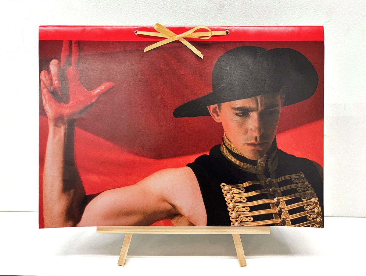 映画 落下の王国 初回限定 パンフレット リボン付き 4Kデジタルリマスター