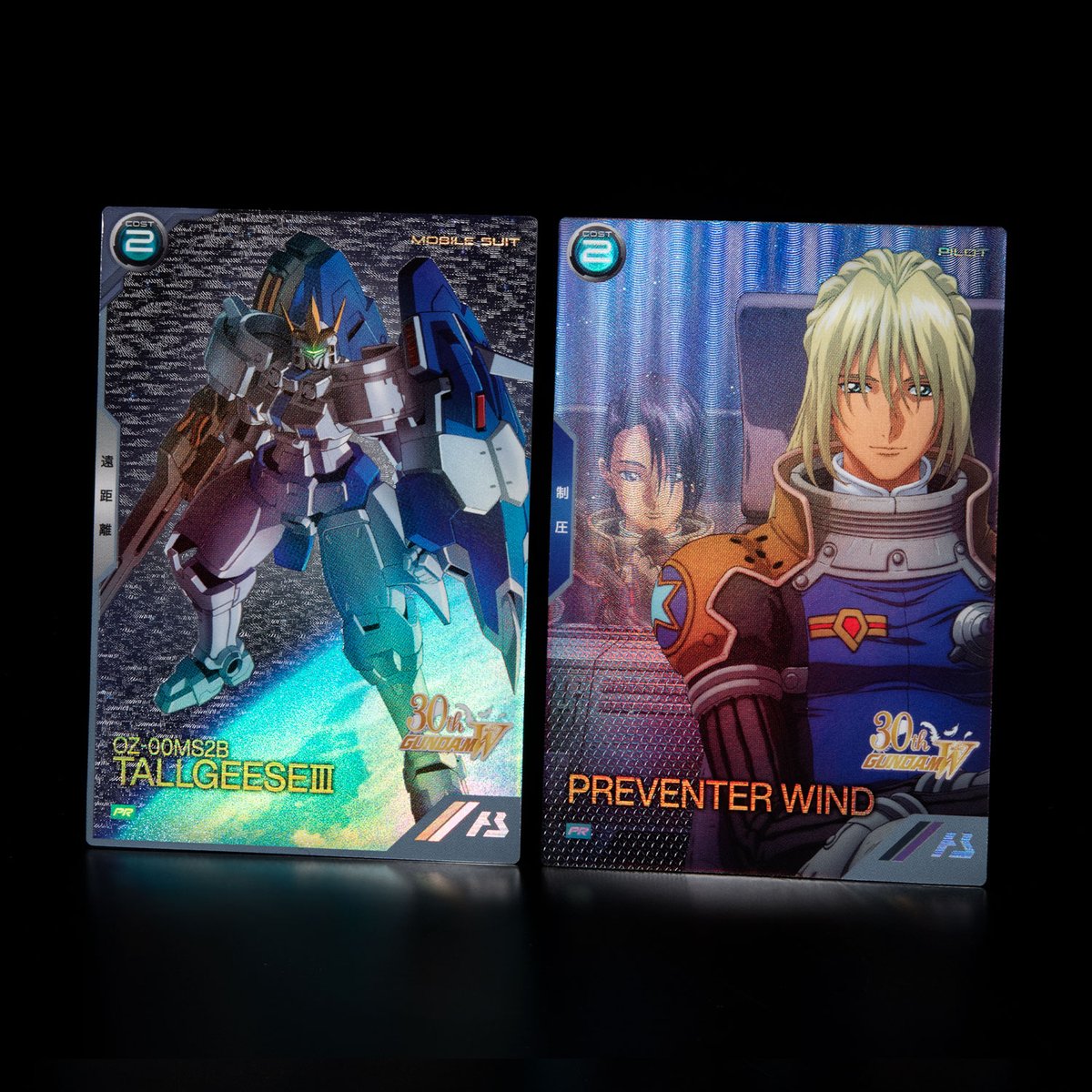 🪽エンドレスワルツプロモーションカードパック&オリジナルストレージ