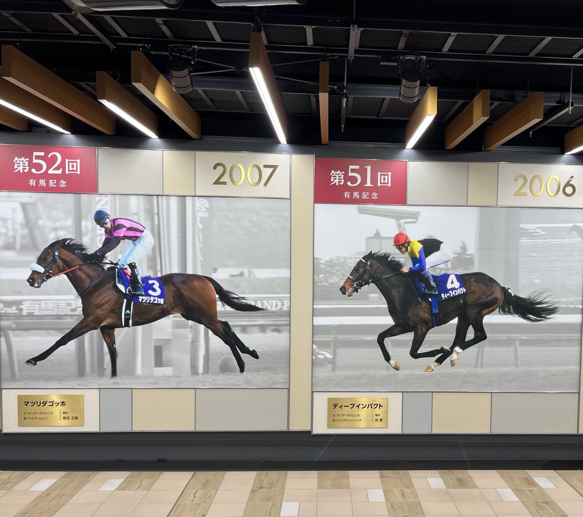 馬🐎かっこいいなぁ〜毛並み綺麗 最後大好きディープインパクト