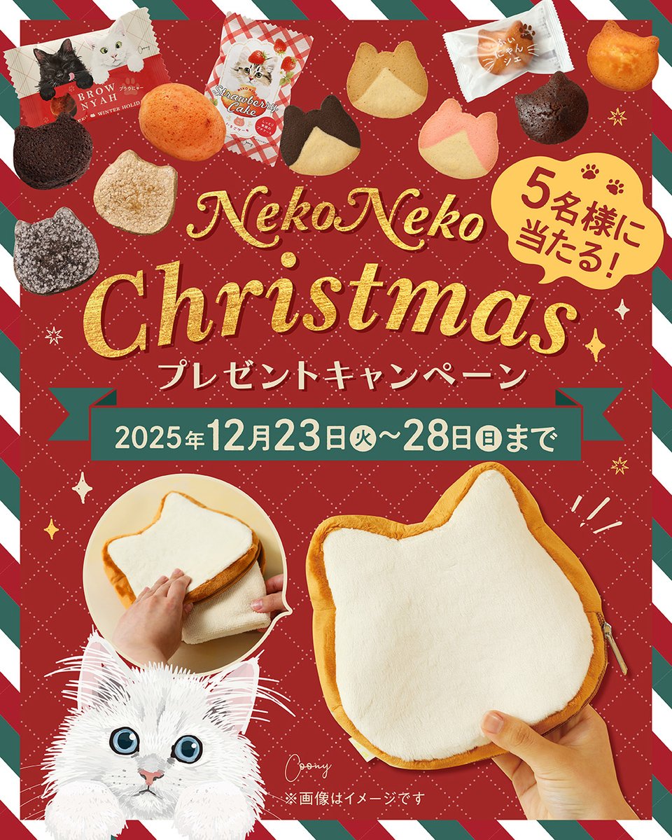 ねこまんじゅう (@neco_manjyu) / Posts / X