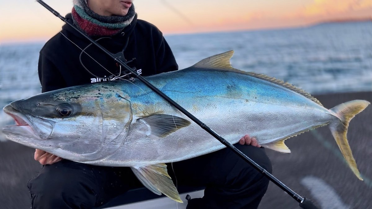 釣り人 難波 (@hima_Angler) / Posts / X