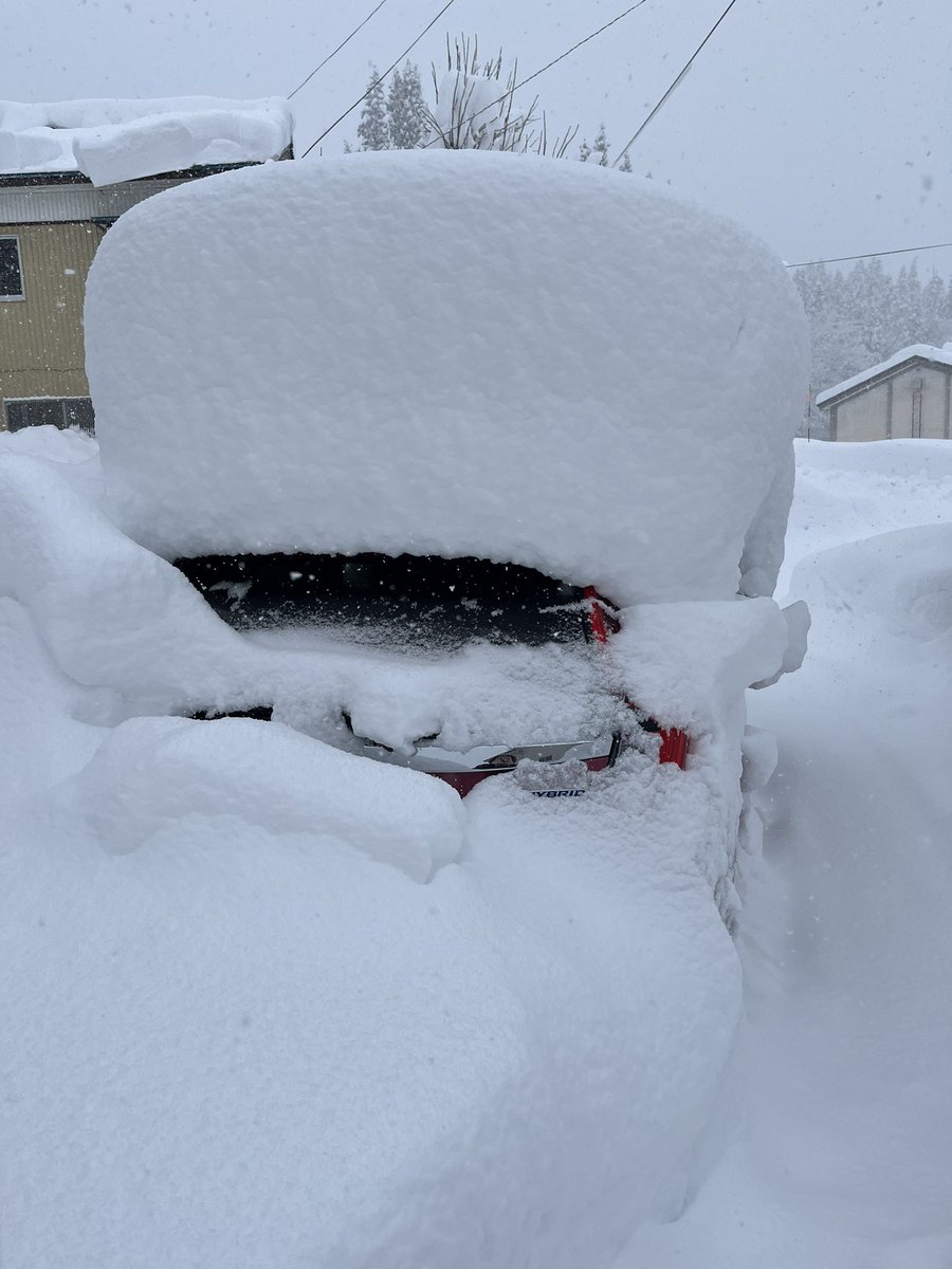 今年、雪、ヤバくない？