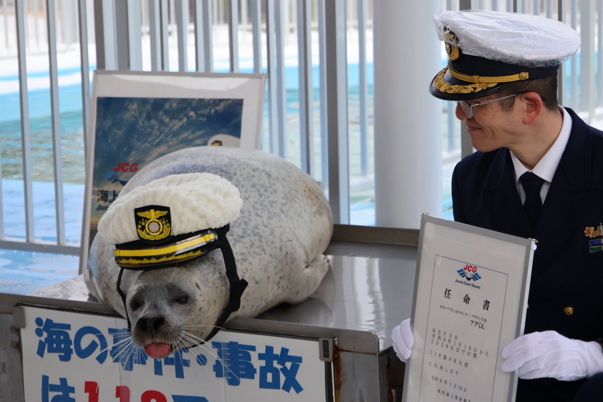 ﾖﾁｬﾝ (@yochan839) / Posts / X