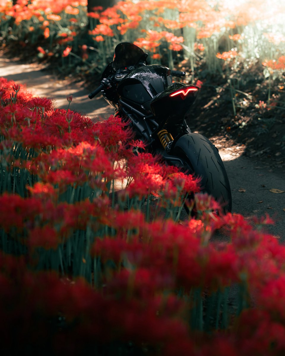 Ri☺︎na (@zx66666666r) / Posts / X