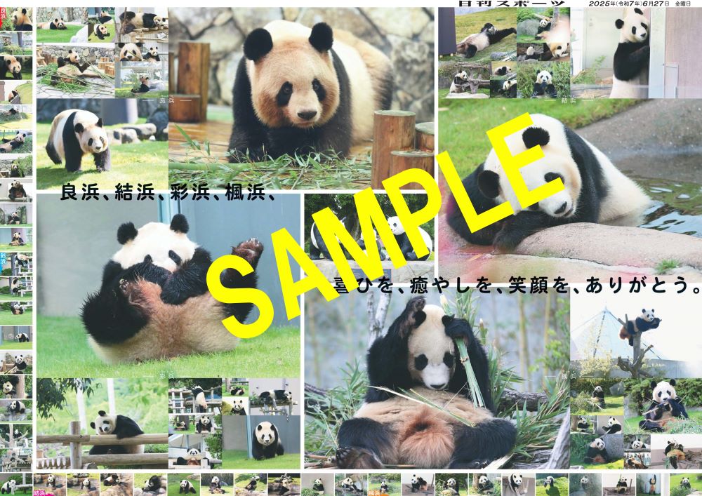 🐼パンダありがとう写真特集2種🐼 📷①#楓浜 📷②#良浜 #結浜 #彩浜