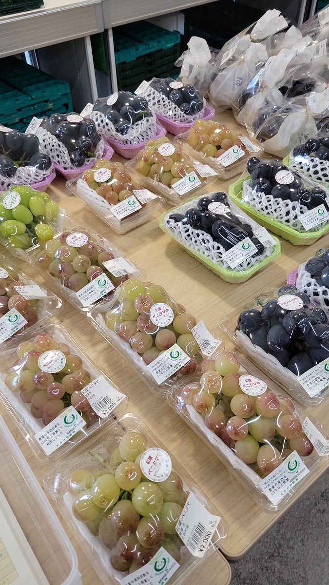 8/8(金) 『#世界猫の日』 『#親孝行の日』 おはようございます 本日