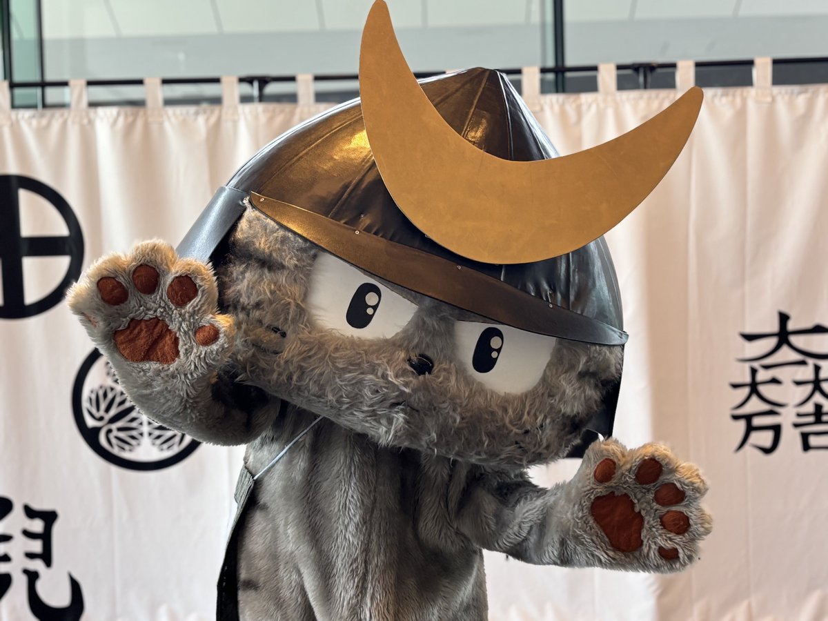 戦国キャラと遊ぼう⚔️情報】 🐈滋賀県彦根市の #しまさこにゃん 来館