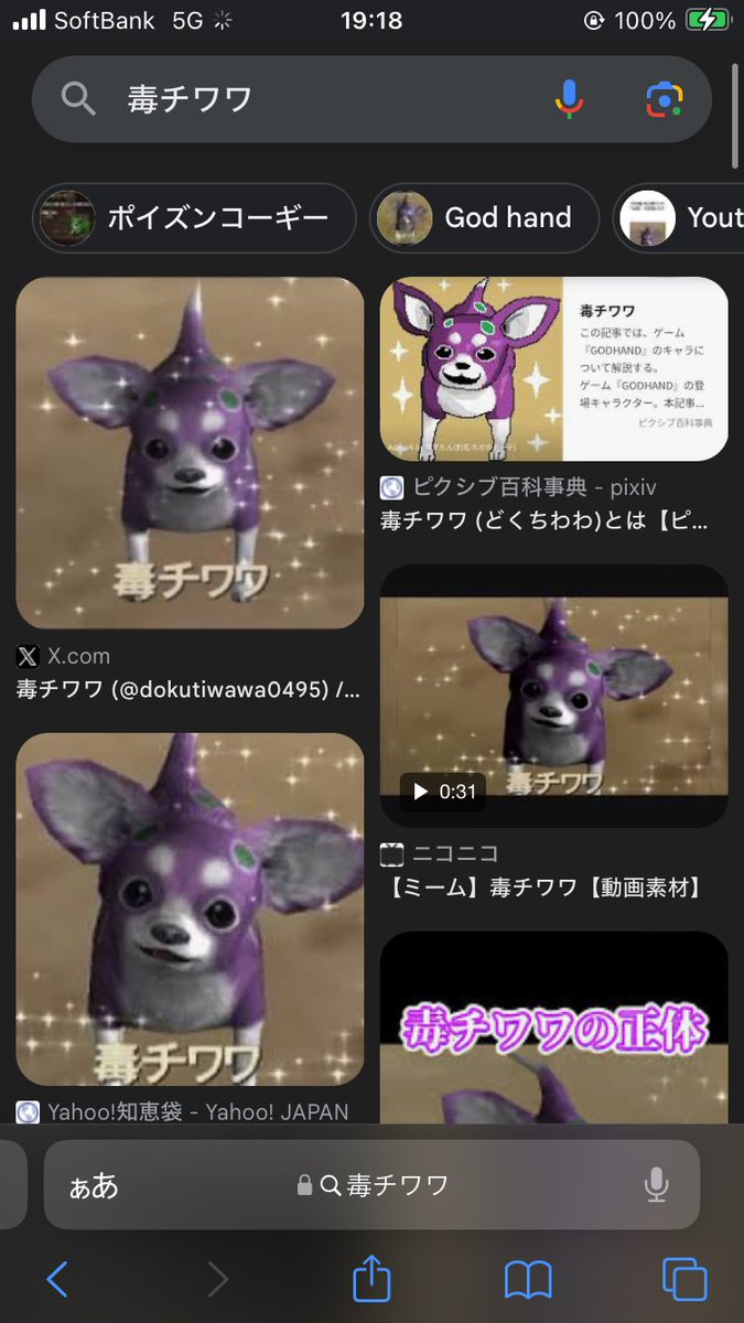 masatoon86 毒チワワほんとすこ