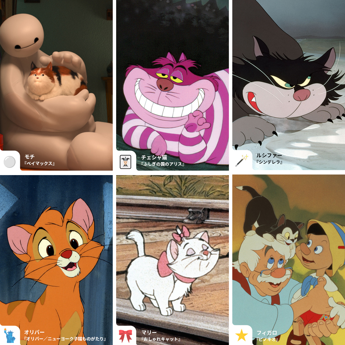 🐾🐈今日（8/8）は #世界猫の日🐈🐾 #ディズニープラス で観られる