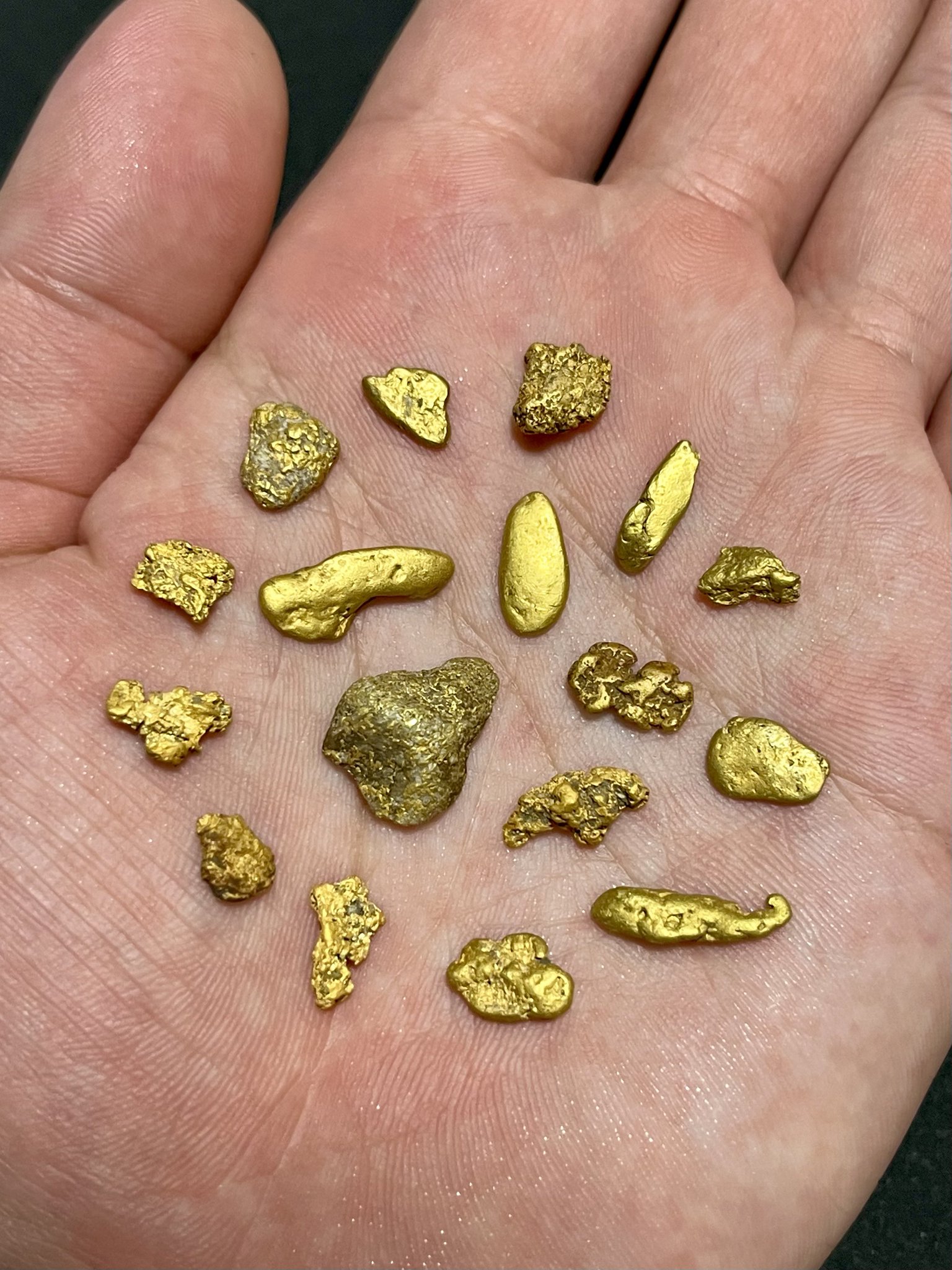 北海道 天然砂金 20粒 砂金 【公式通販】