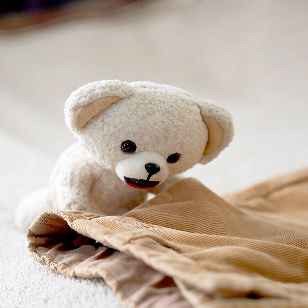 ファーファ (@fafa_bear) / Posts / X