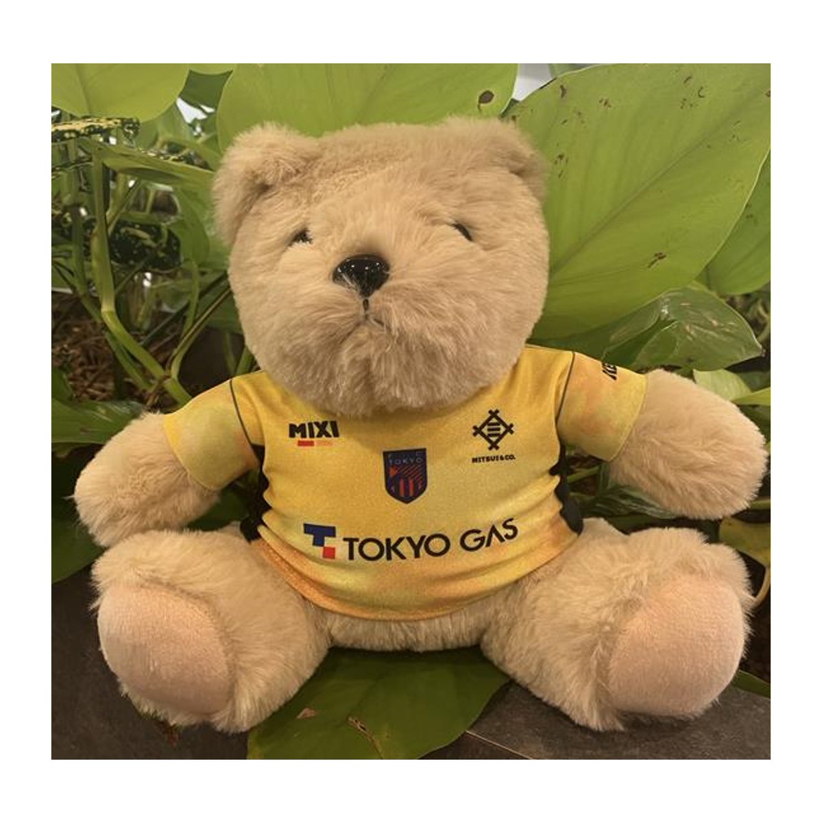 🔵🆕プレーヤーズグッズ第一弾受注販売のお知らせ🔴 明日1/21(水)17:00