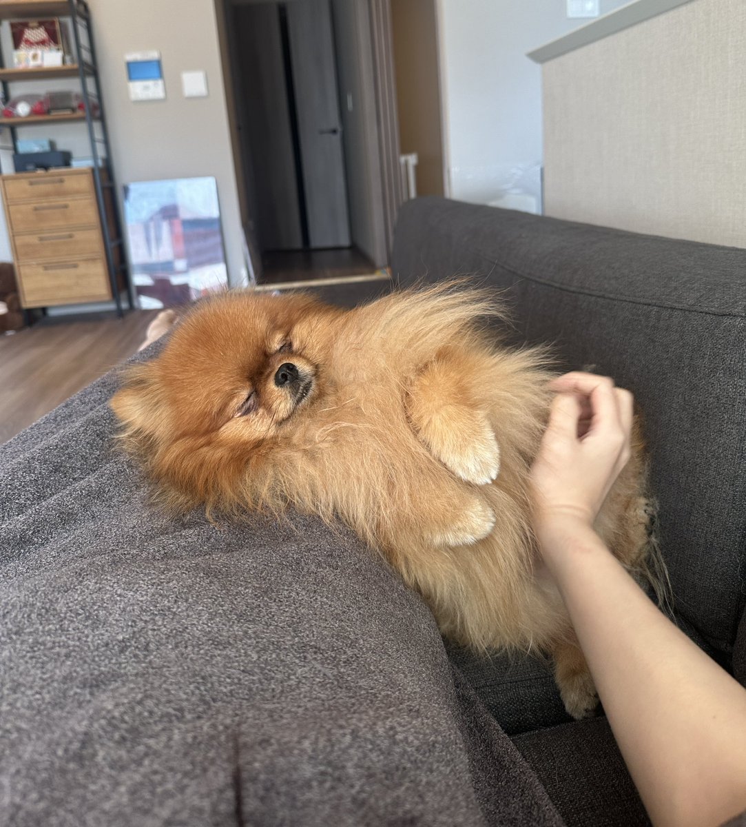 ミルモとポン！ (@mirumo__pon) / Posts / X