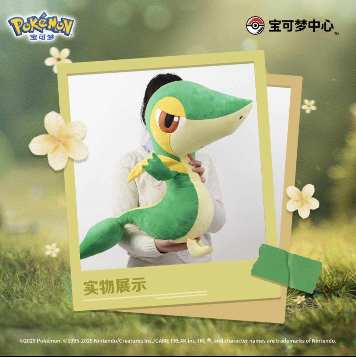 初夢 2012年製 等身大ツタージャポケモンセンター