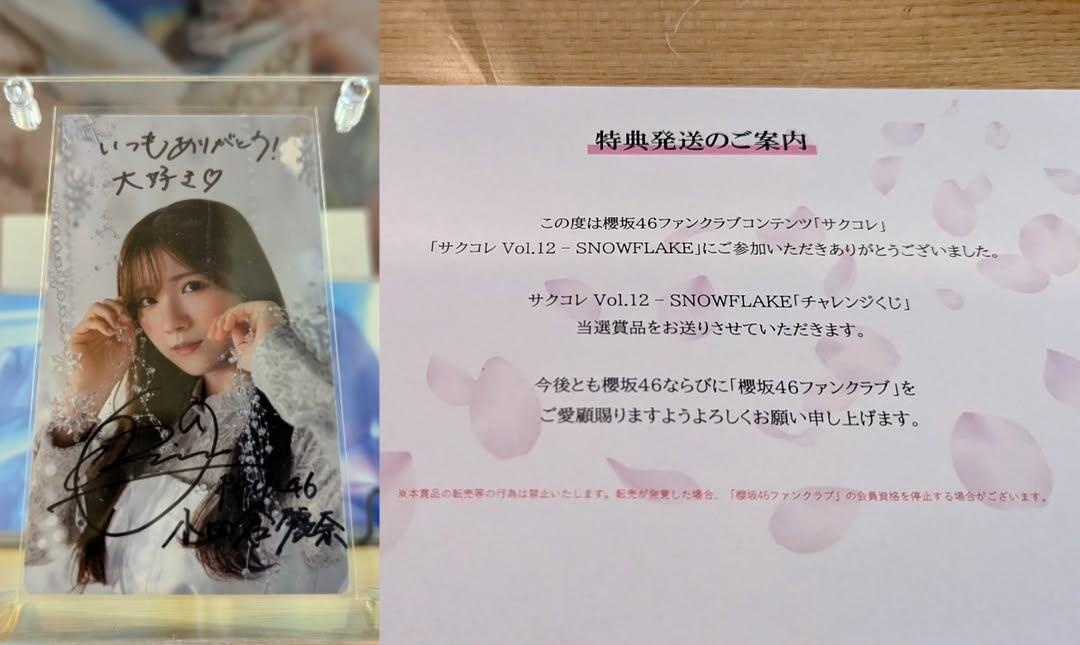 サクコイは嫌いになりそうになったけどサクコレは好きかも