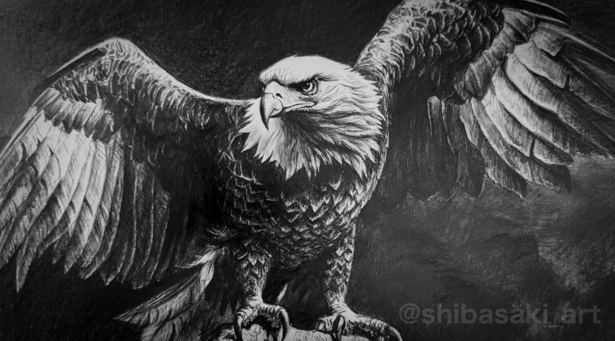 鉛筆画　ハメネイ師