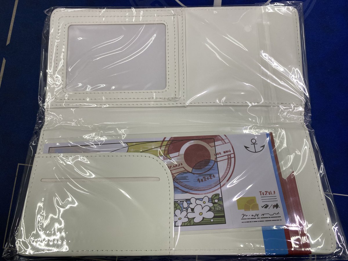 🎟️【むげんのチケット チケットケース 入荷！】✈️ ホウエン地方へ