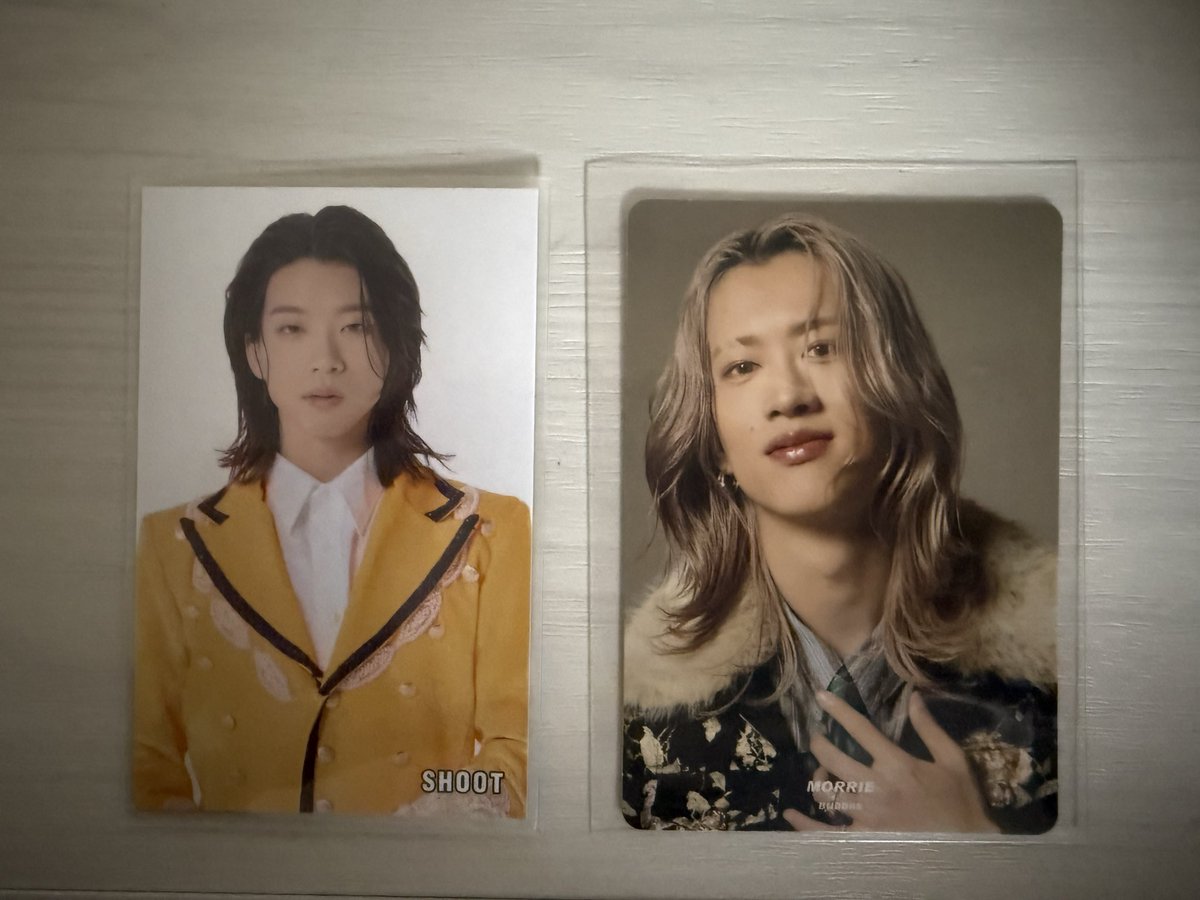 EBiDAN Visual Dictionary 2026 BUDDiiS 店舗特典トレカ 譲 : MORRIE