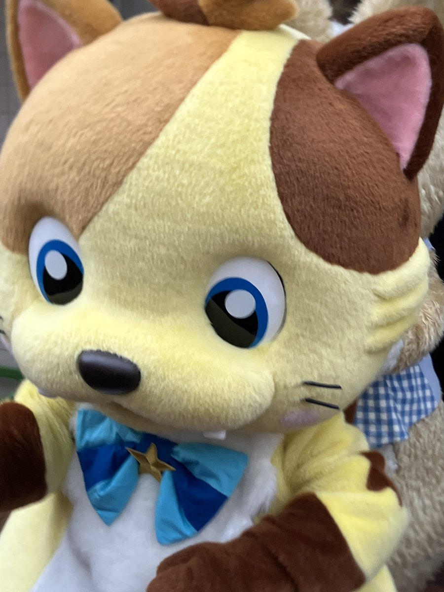 Bisuke (@BeeHappy23) / Posts / X