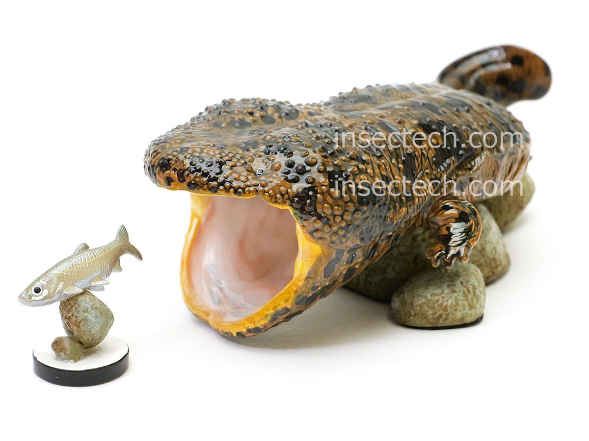 発売開始】 2026年2月11日（水） 10時より本店のみ 動物の惑星