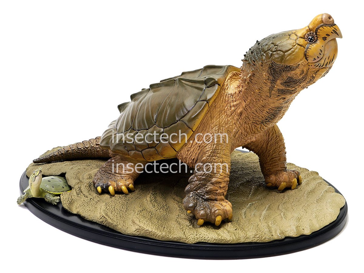 発売開始】 2026年2月11日（水） 10時より本店のみ 動物の惑星