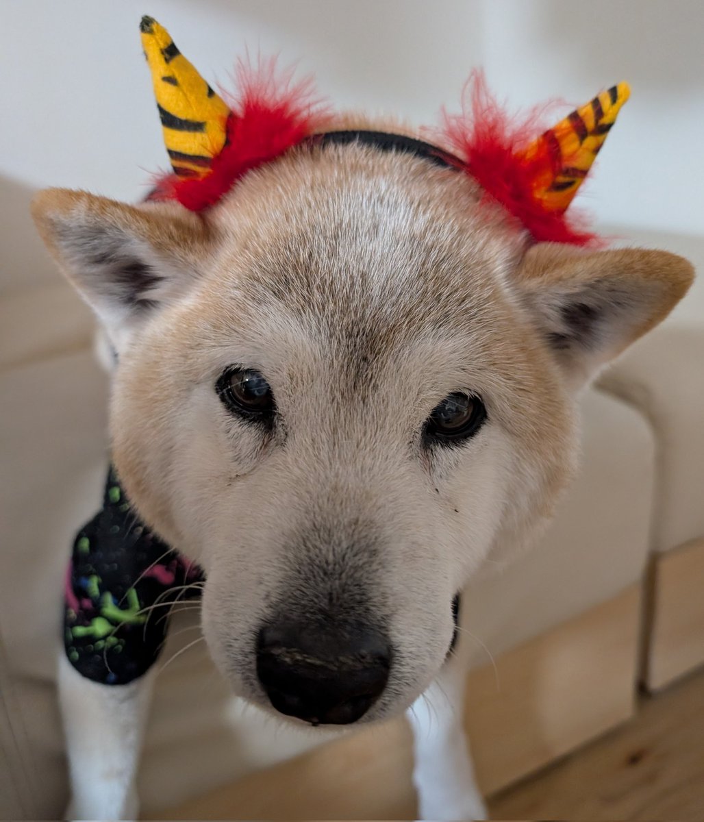 ごうやま (@UfedMLxsFWF92uf) / Posts / X