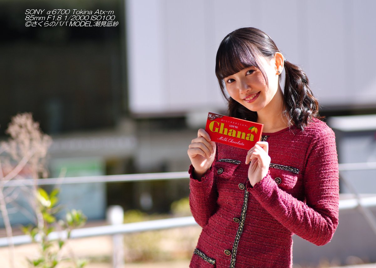 🇺🇦さくら🐇のパパ🇯🇵高配当株に移行中🇺🇦 (@K70_55) / Posts / X