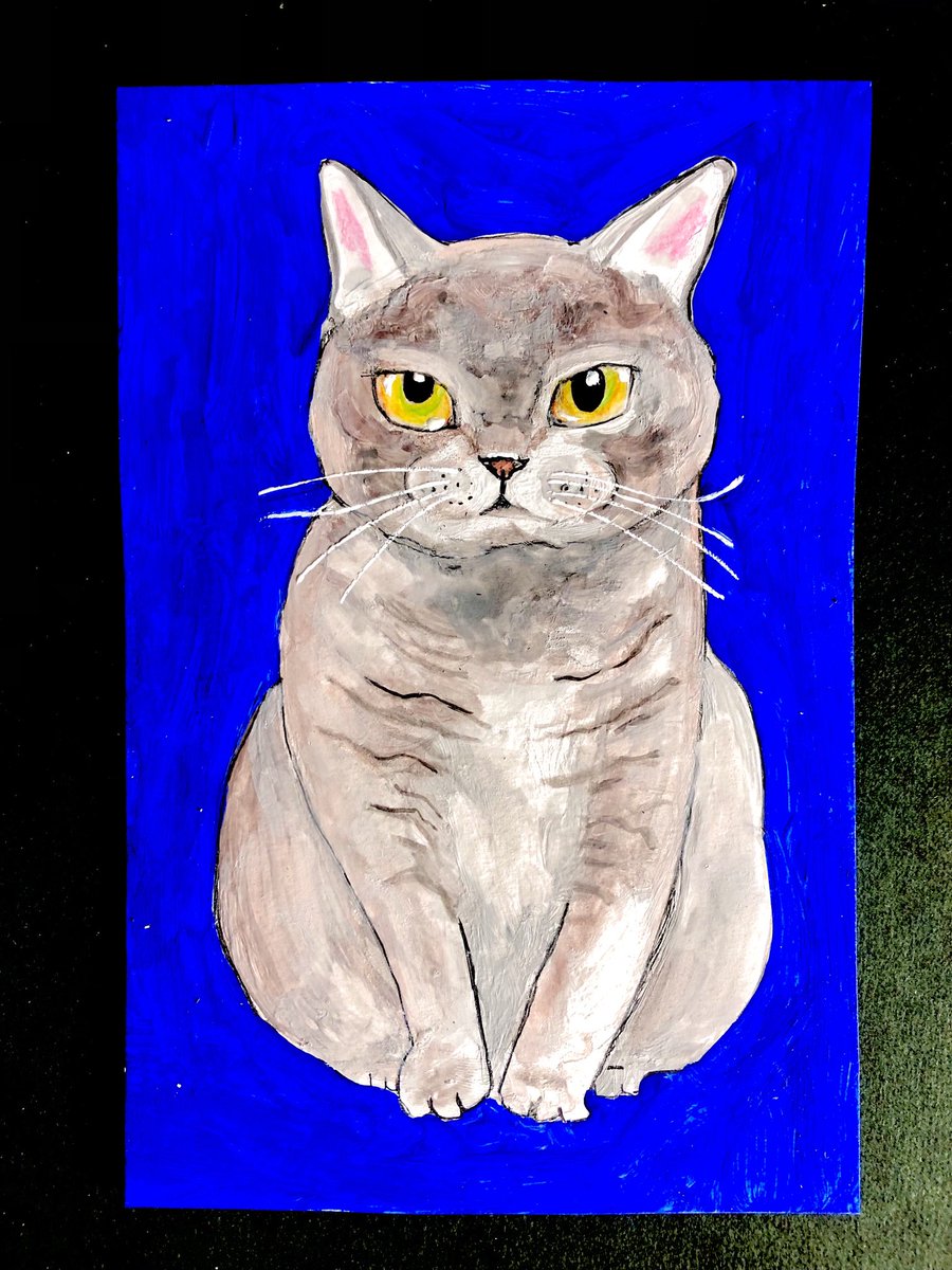 猫壱屋久右衛門 (@og9Z0HG7T7lLpNM) / Posts / X