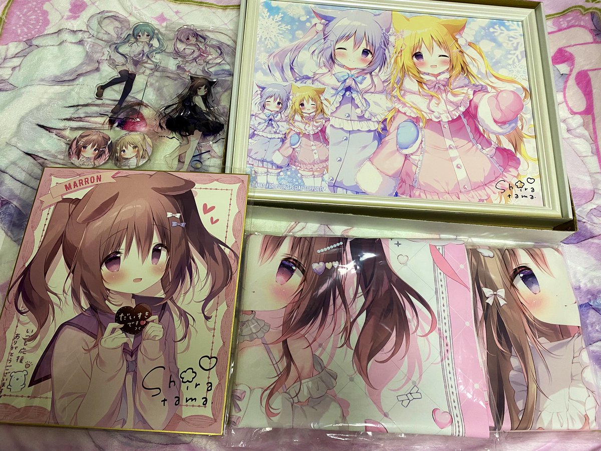 しらたま❄️新作ゲーム2本制作中🐇🫖 (@shiratamacaron) / Highlights / X