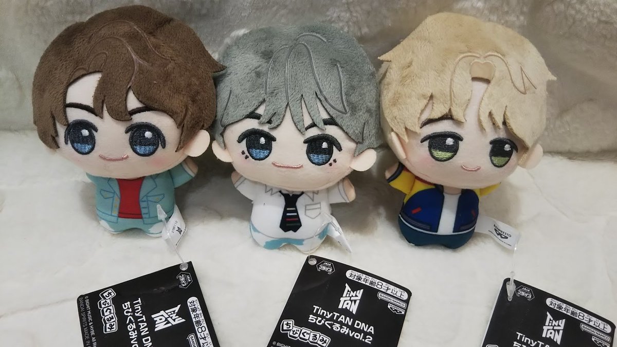 プライズSGF三川】 「TinyTAN DNA ちびぐるみvol．1と