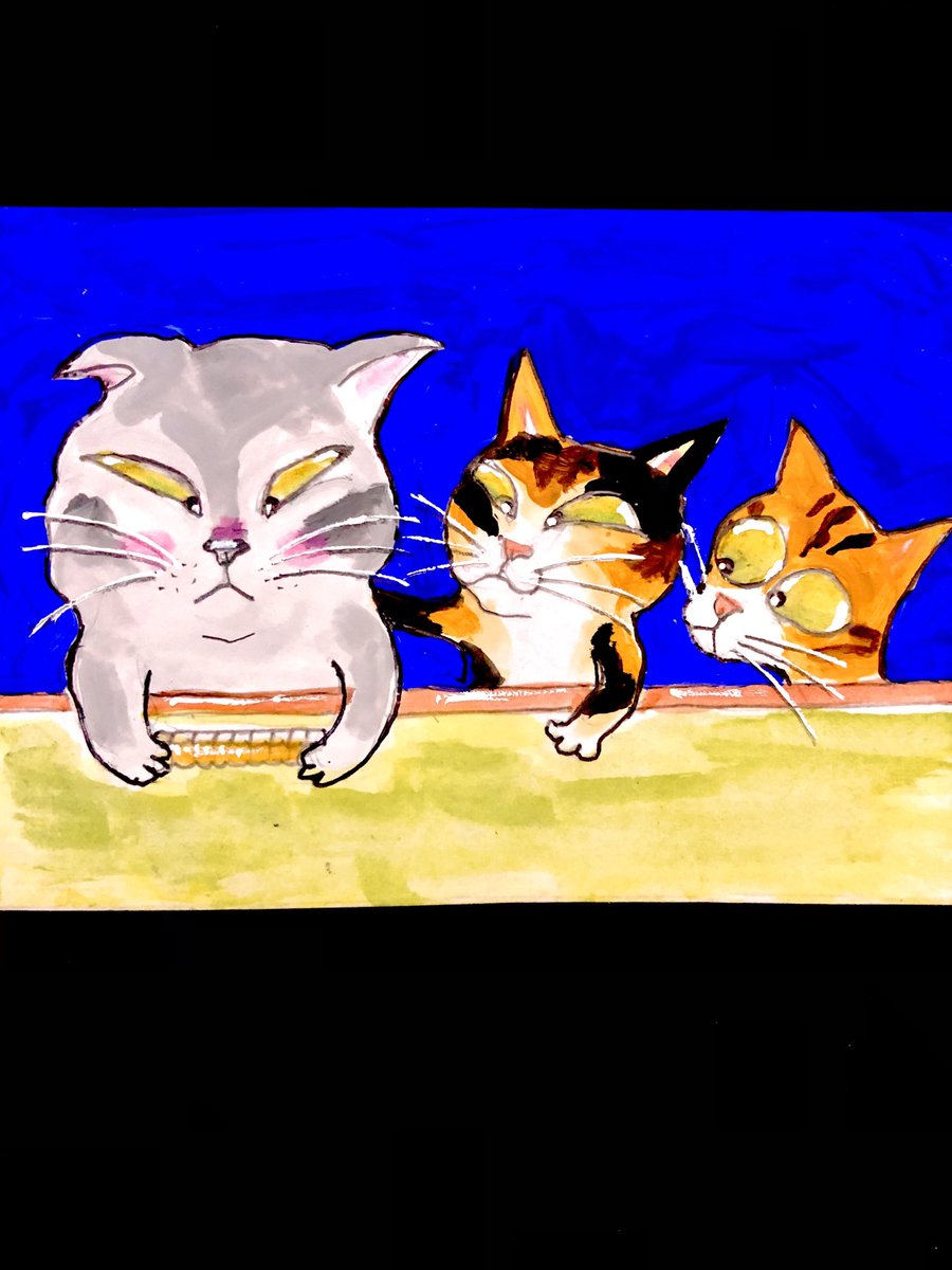 猫壱屋久右衛門 (@og9Z0HG7T7lLpNM) / Posts / X