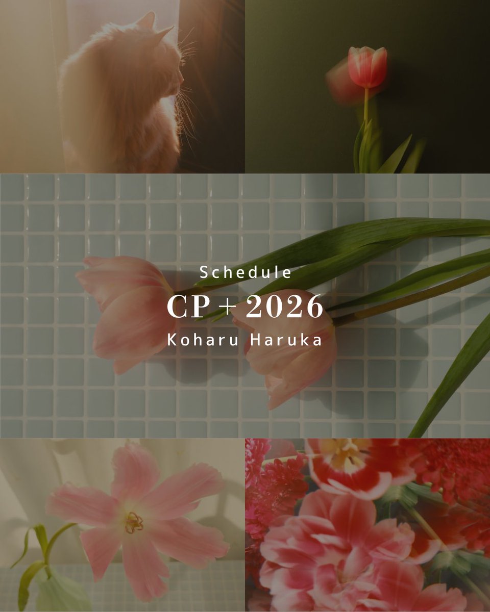 CP＋2026【スケジュール】 今年もパシフィコ横浜で開催されるカメラの
