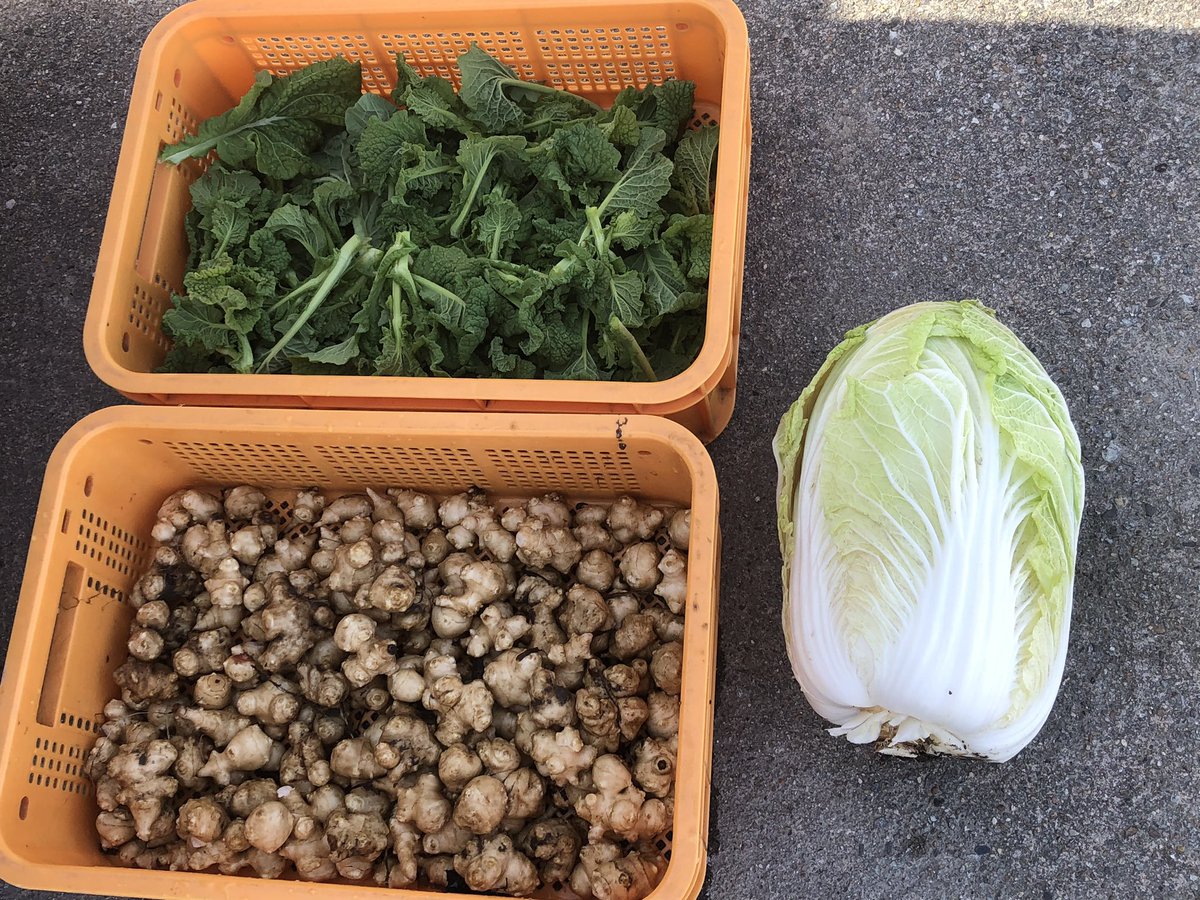 こんばんわ〜😷明日も宜しくです😷