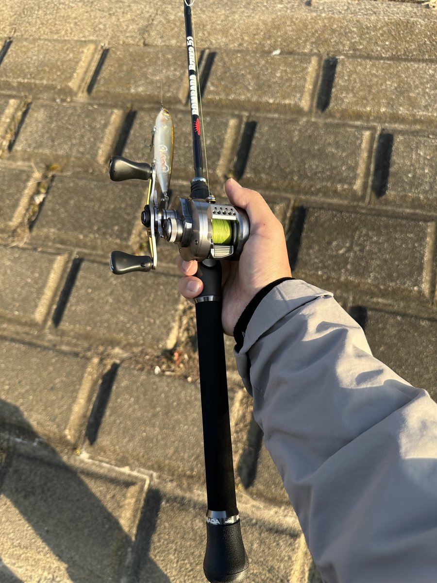 ボンバダのパックロッド ブルーシャ51の試し投げ ロッドの性能について