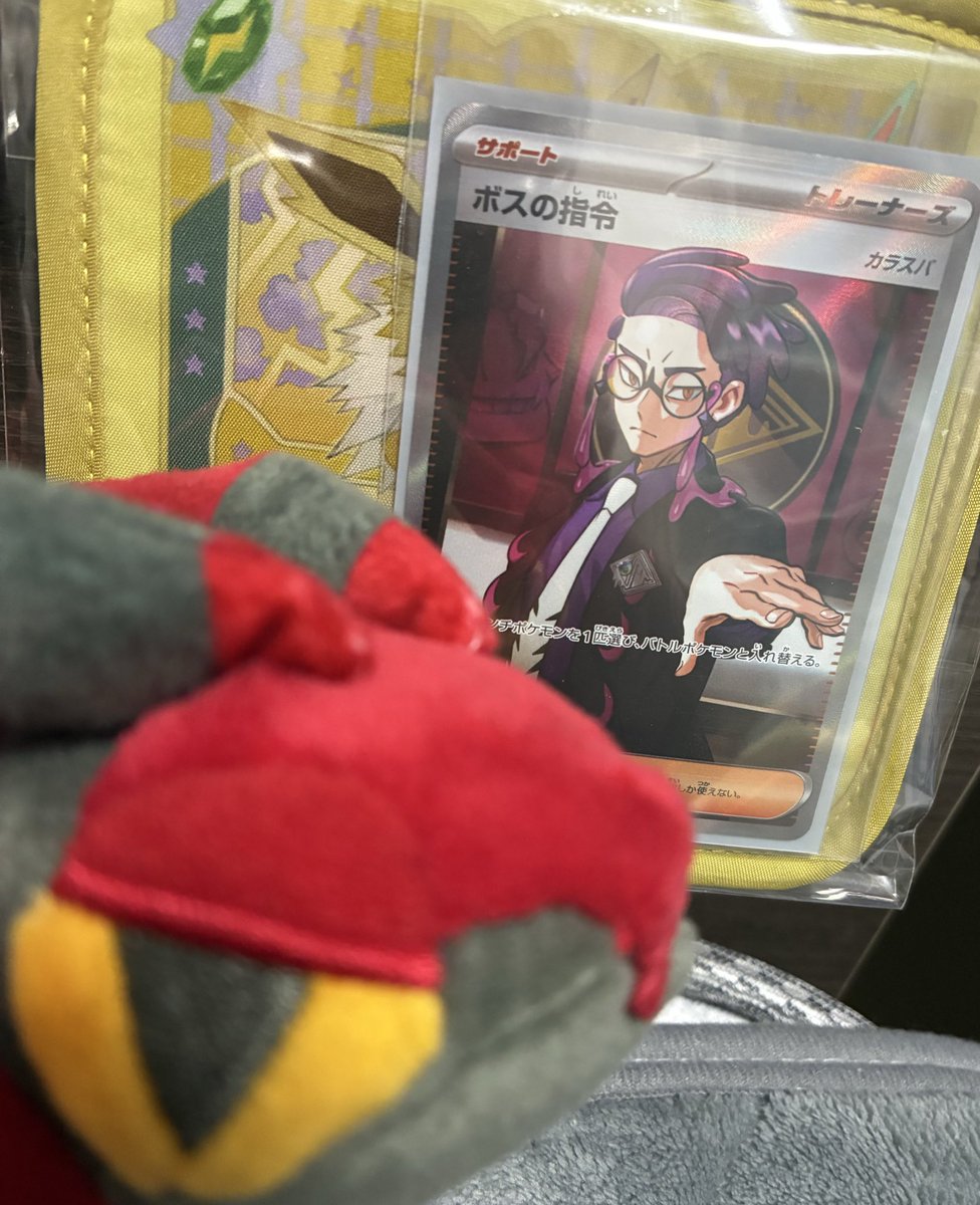 あとこの奇跡のポケパーク神ピンズを観て癒されてる。イーブイは奇跡的